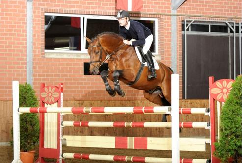 Cat.No. 2. Photographer:Beelitz