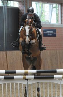 Kat.-Nr. Black Eyed Pea. Foto: Becker