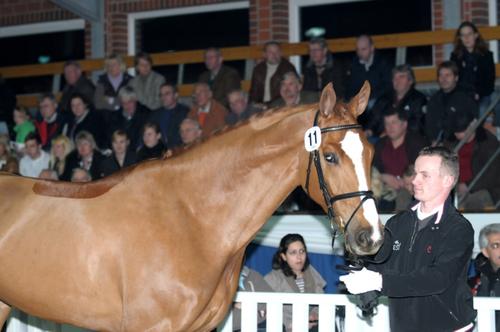 Photographer: Becker