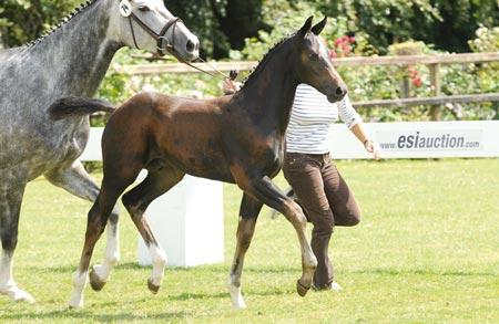 Photographer: Beelitz