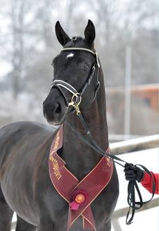 Foto: Becker
